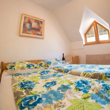 Apartma Marjetica 2 *